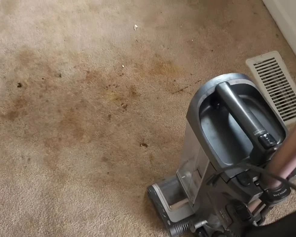 Professional carpet cleaning in Aiken, SC — heavily soiled carpet being deep cleaned