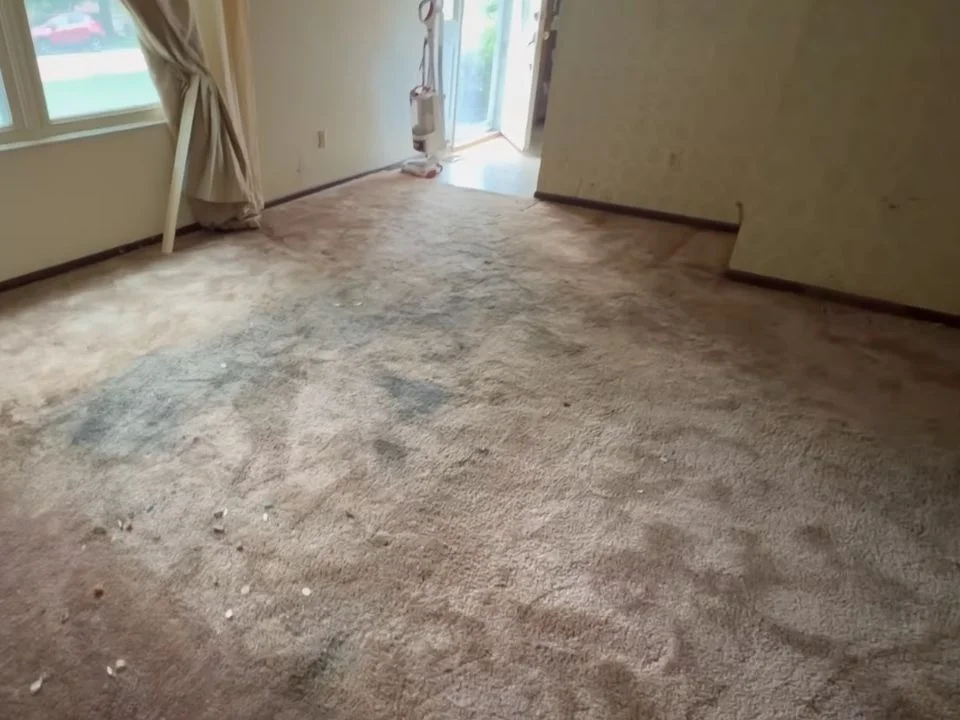 Carpet in an Aiken, SC home showing ground-in soil and staining from sand and humidity